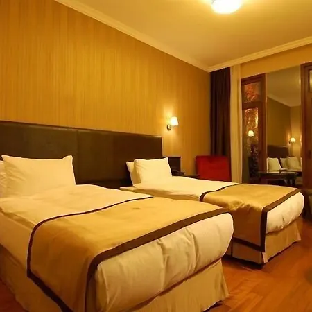 苏丹穆罕默德酒店 3*